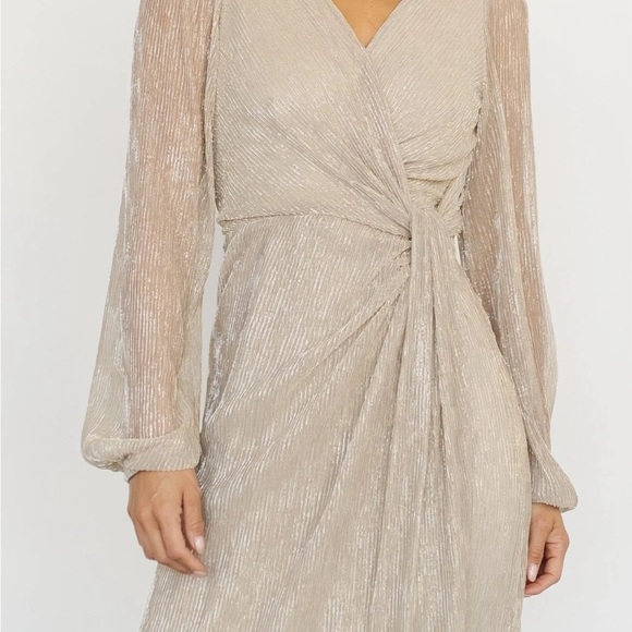 Champagne/Gold Shimmer Dress - Picture 6 of 6